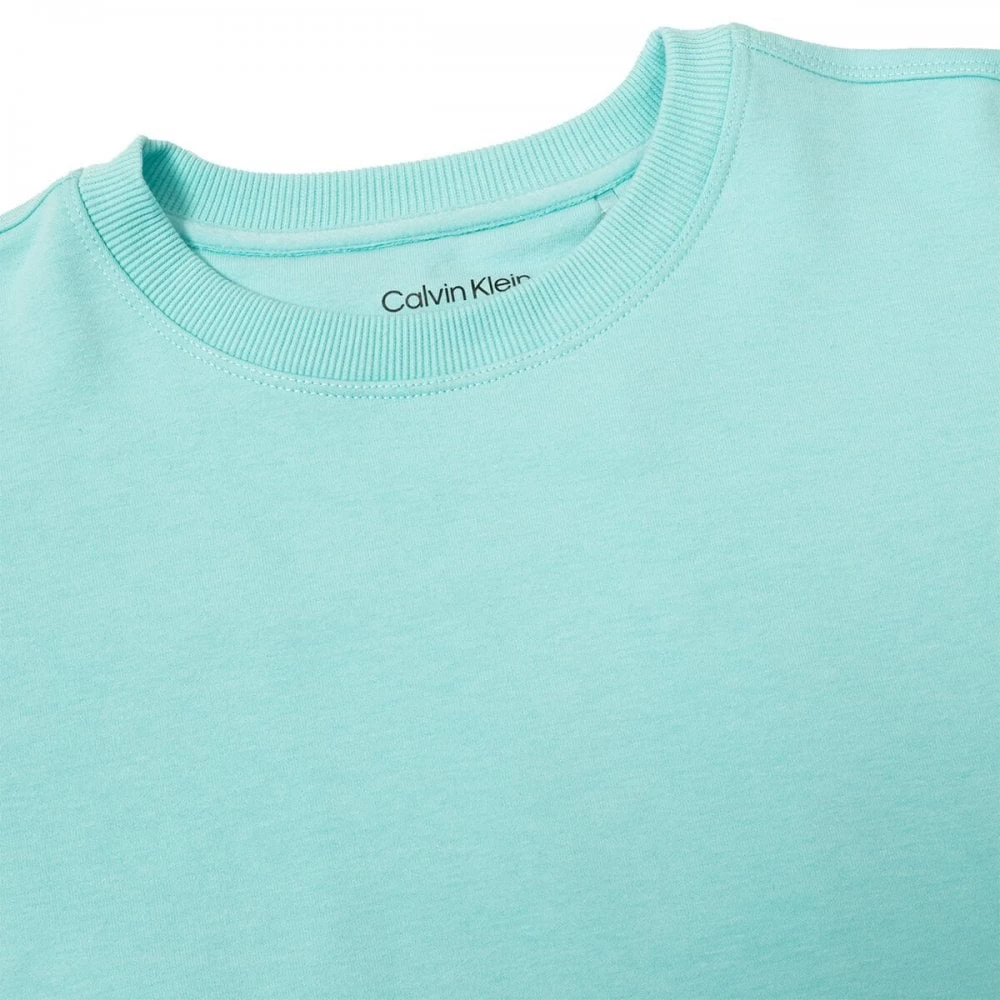 Calvin Klein Ladies CHILL CROPPED CREW SWEATSHIRT OPAL 6 Calvin Klein Ladies CHILL CROPPED CREW SWEATSHIRT OPAL - Image 4