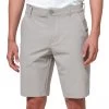Oakley TAKE PRO SHORT 3.0 - Stone Gray -golf oakley take pro short 3 0 stone gray p9498 20400 image